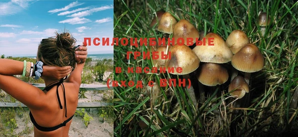 твердый Корсаков