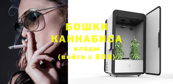 твердый Корсаков