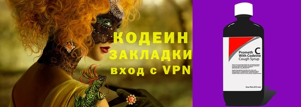 твердый Корсаков