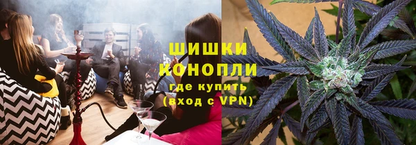 твердый Корсаков
