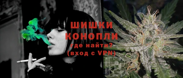 твердый Корсаков