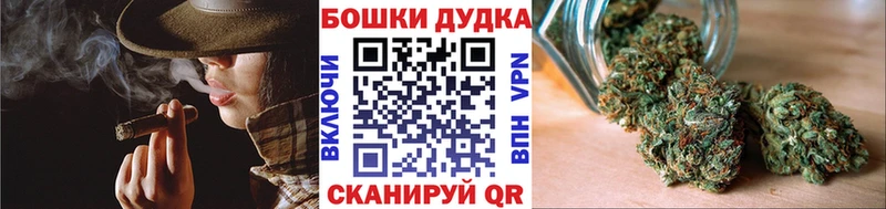 Каннабис ГИДРОПОН  Купить закладки  Ревда 